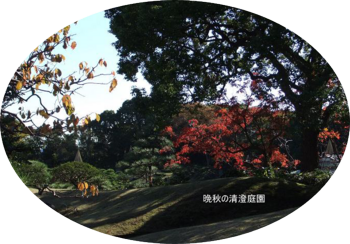 晩秋の清澄庭園 2- コピーのコピー.png