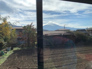 河口湖からの富士２.jpg