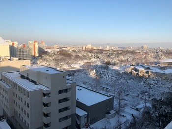雪景色光が丘.jpg