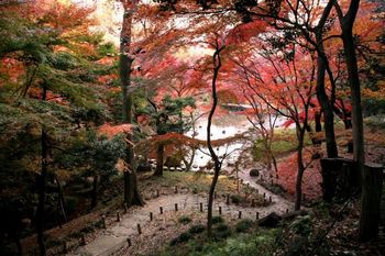 japan-tokyo-bunkyo-koraku-koishikawa-korakuen-gardens13.jpg